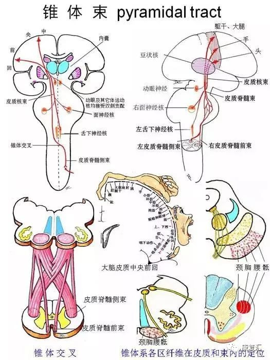 澳门新葡平台网址8883